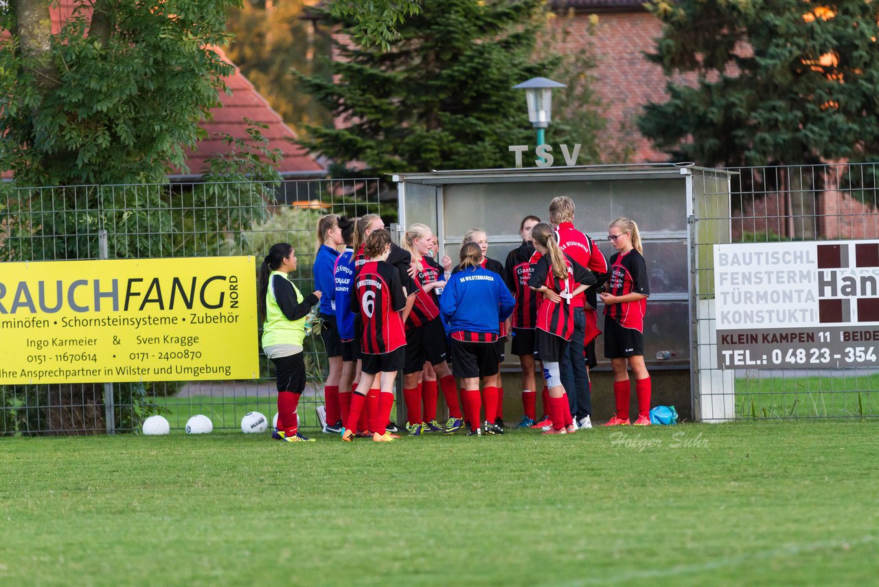 Bild 350 - B-Juniorinnen SG Wilstermarsch - SV Henstedt Ulzburg : Ergebnis: 5:1